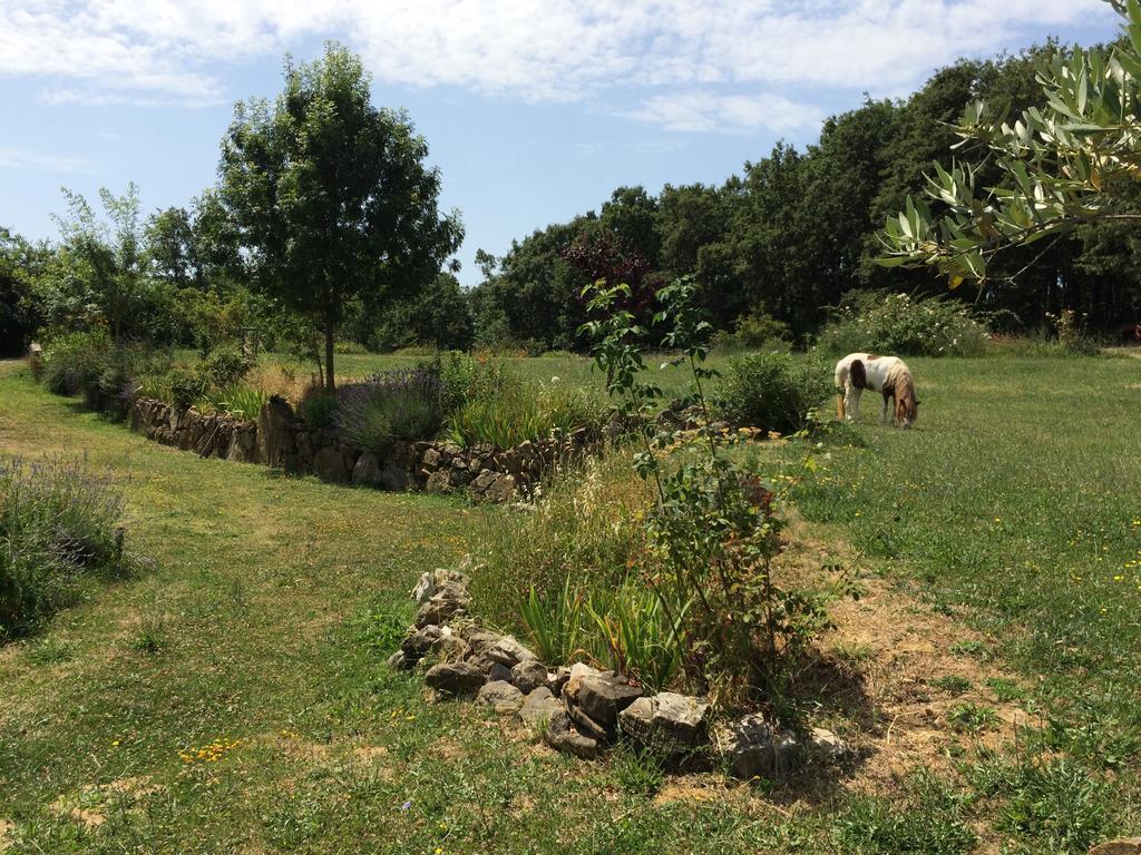 Agriturismo Palareta Montecatini Val di Cecina Ngoại thất bức ảnh